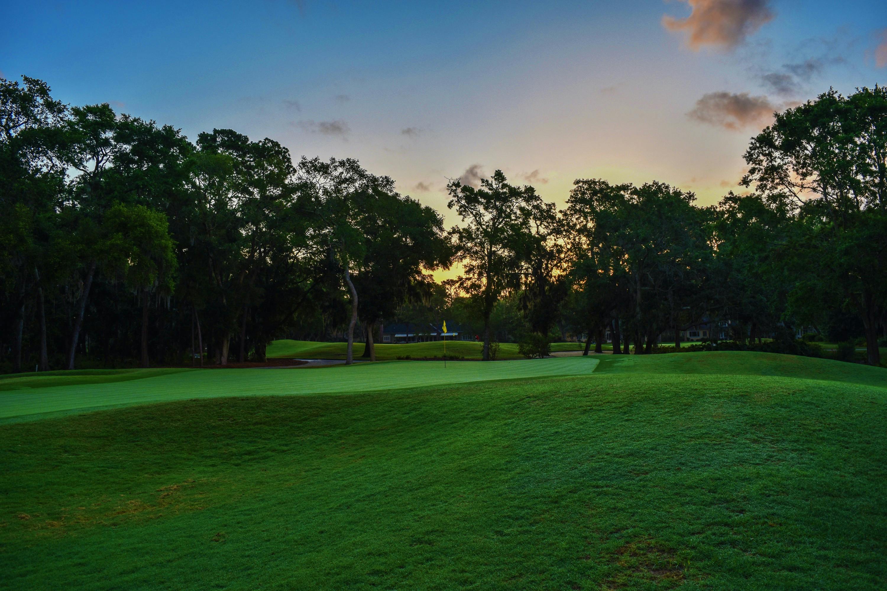Image of golf ball on tee on grass.