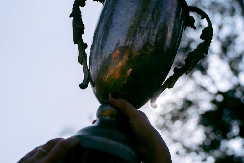 Trophy reflecting champion